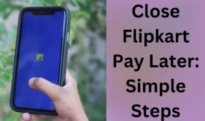 Close Flipkart Pay Later